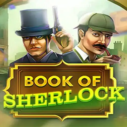 Exploring the Intriguing Universe of BookOfSherlock